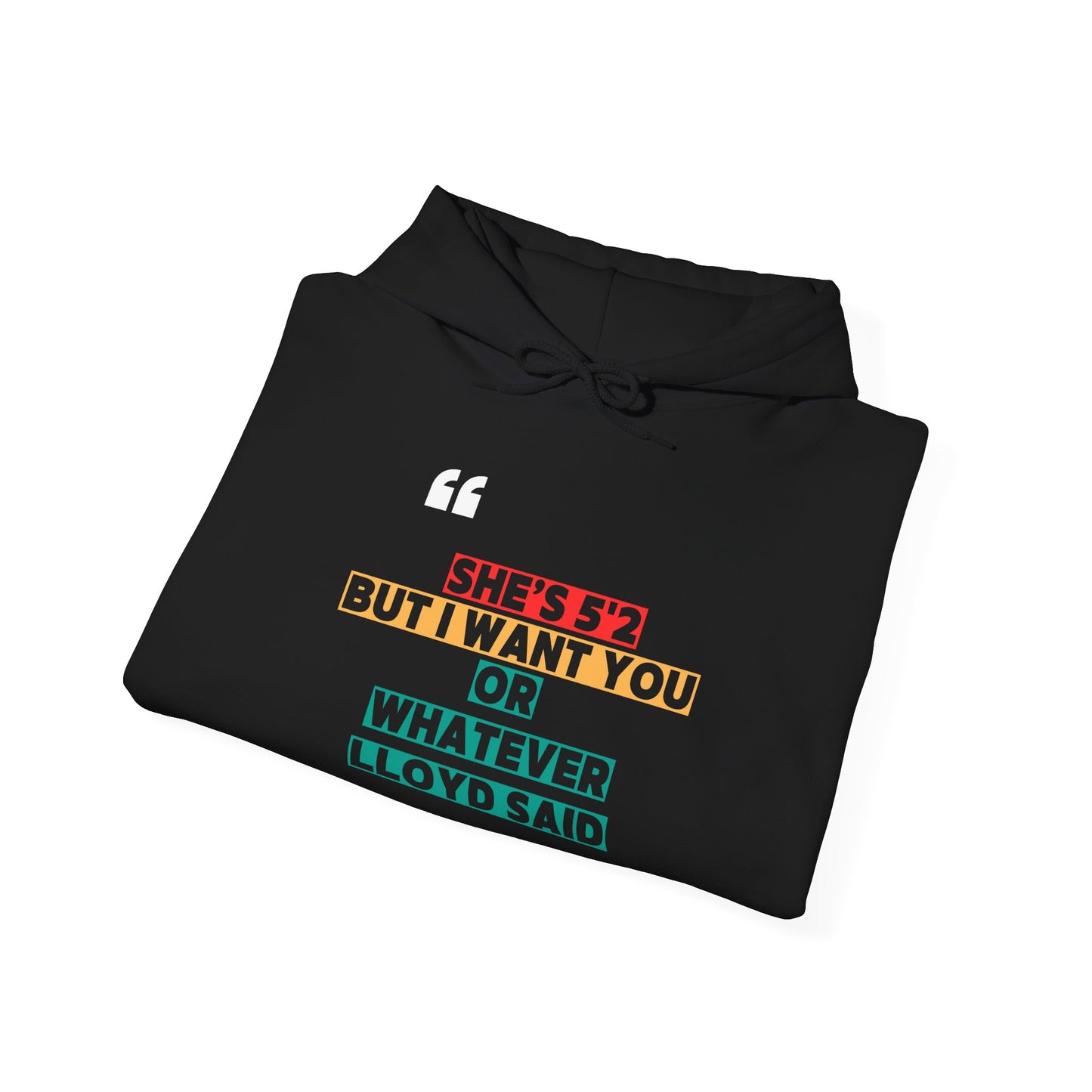 She's 5'2 But I Want You or Whatever Lloyd Said Unisex Fleece Hooded Sweatshirt