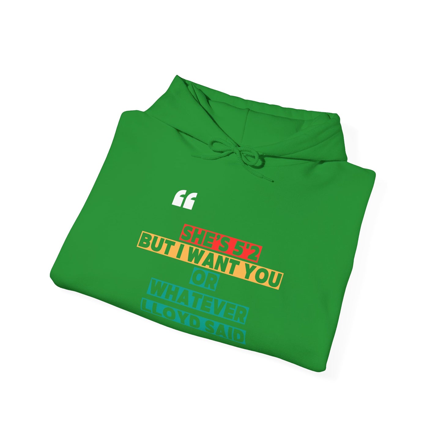 She's 5'2 But I Want You or Whatever Lloyd Said Unisex Fleece Hooded Sweatshirt