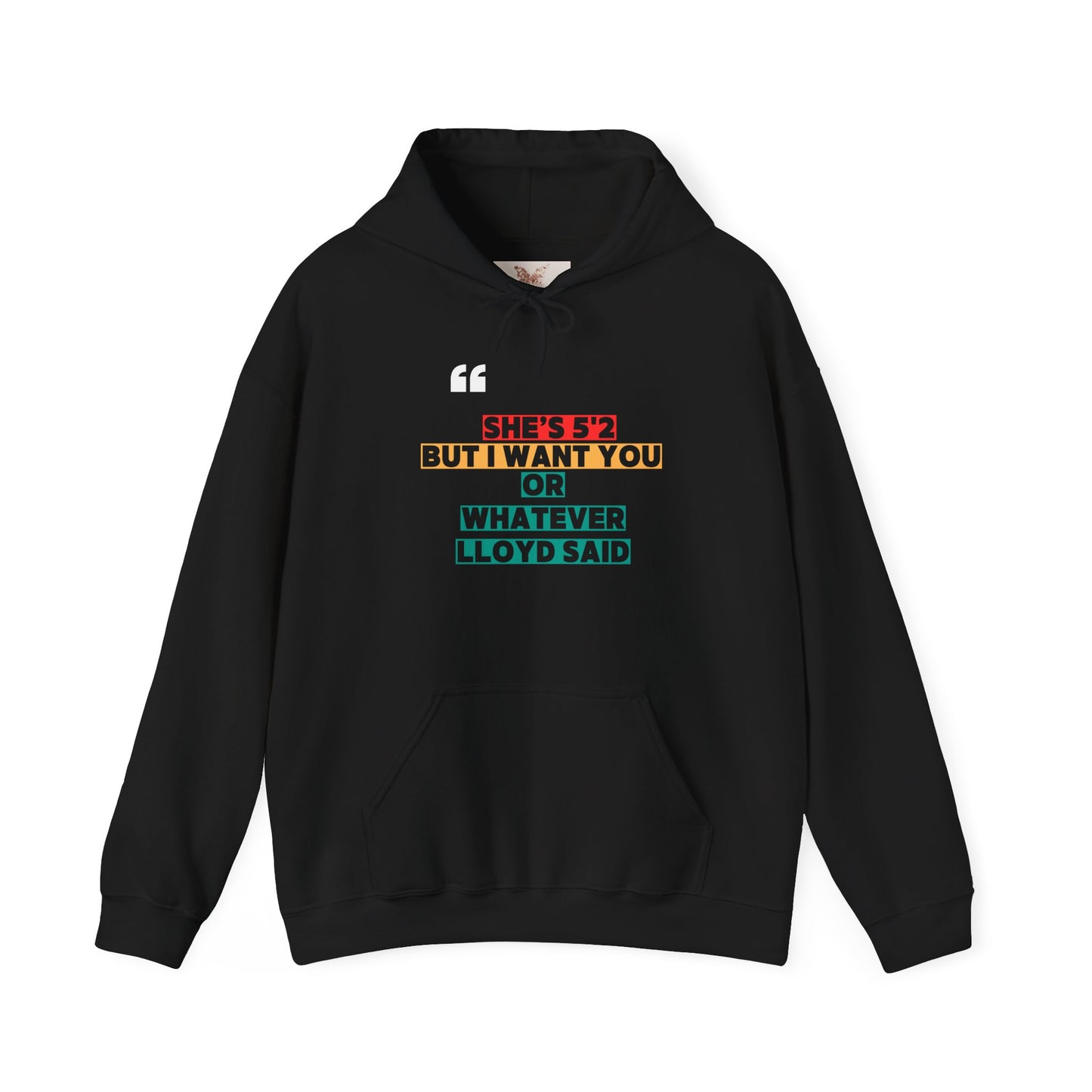 She's 5'2 But I Want You or Whatever Lloyd Said Unisex Fleece Hooded Sweatshirt